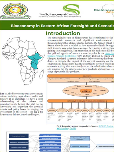 Bioeconomy in Eastern Africa: Foresight and Scenarios